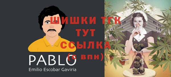 гидра Осинники
